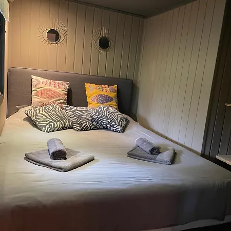 Forest Cabin With Heated Pool In The Veluwe Voorthuizen