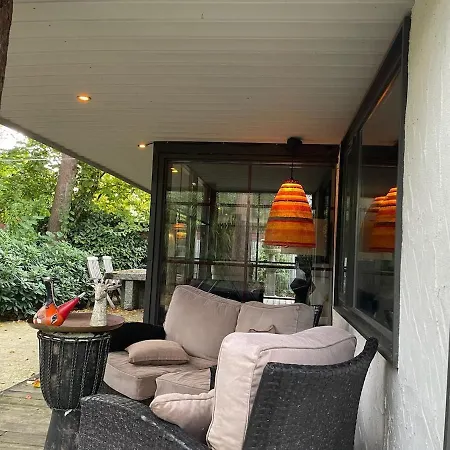 Forest Cabin With Heated Pool In The Veluwe Chalet Voorthuizen