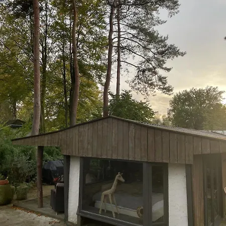 Chalet Forest Cabin With Heated Pool In The Veluwe Voorthuizen