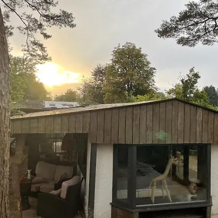 Forest Cabin With Heated Pool In The Veluwe *