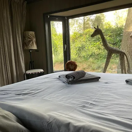 Chalet Forest Cabin With Heated Pool In The Veluwe