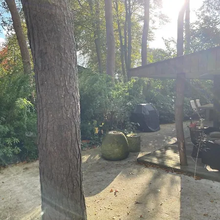 Forest Cabin With Heated Pool In The Veluwe Chalet