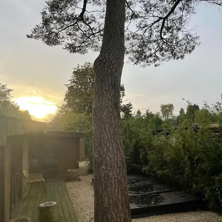 Forest Cabin With Heated Pool In The Veluwe