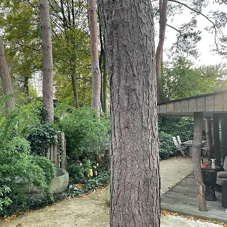 Forest Cabin With Heated Pool In The Veluwe Chalet *