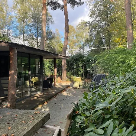 Chalet Forest Cabin With Heated Pool In The Veluwe Voorthuizen