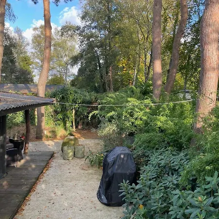 Forest Cabin With Heated Pool In The Veluwe *