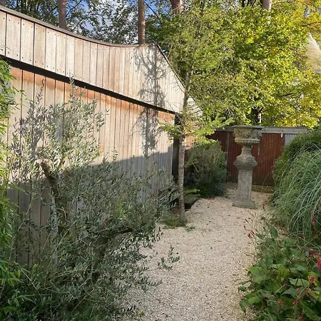Forest Cabin With Heated Pool In The Veluwe * Voorthuizen